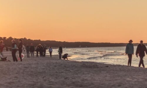 Übernachtung auf Rügen: Vielfältige Unterkünfte für Ihren Traumurlaub